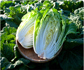 原、辅材料采购方法